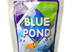 Bluepond Vi sinh chuyên xử lý nhớt bạt, diệt tảo, khử khí độc