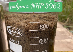 Polymer NHP3962 hỗ trợ ép bùn trong xử lý nước thải